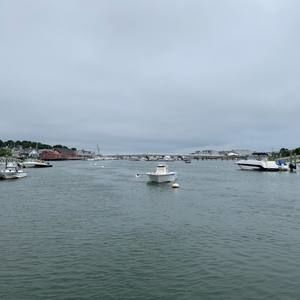 Meet your Posher, Monica